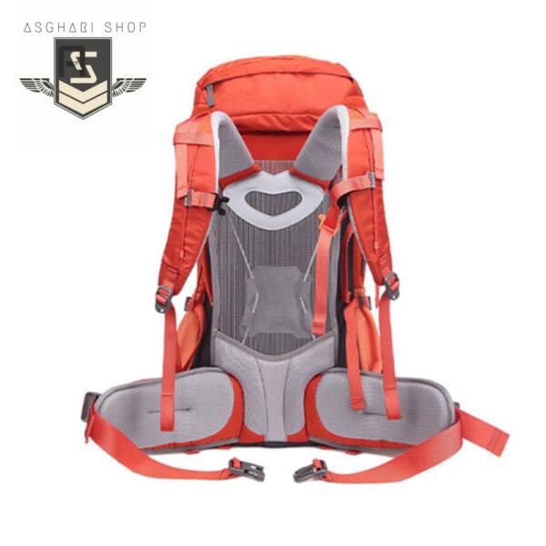 کوله پشتی پکینیو طرح پولار 5+45